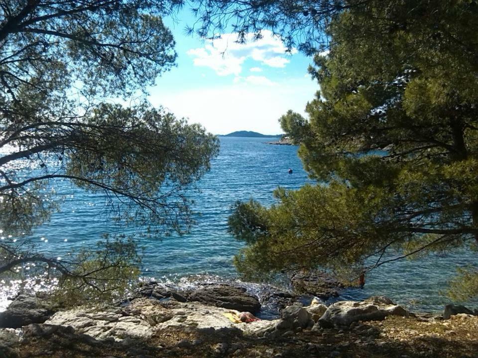 Apartmani Kovacic Μούρτερ Εξωτερικό φωτογραφία
